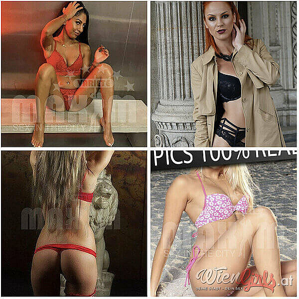  Maxim Wien Image