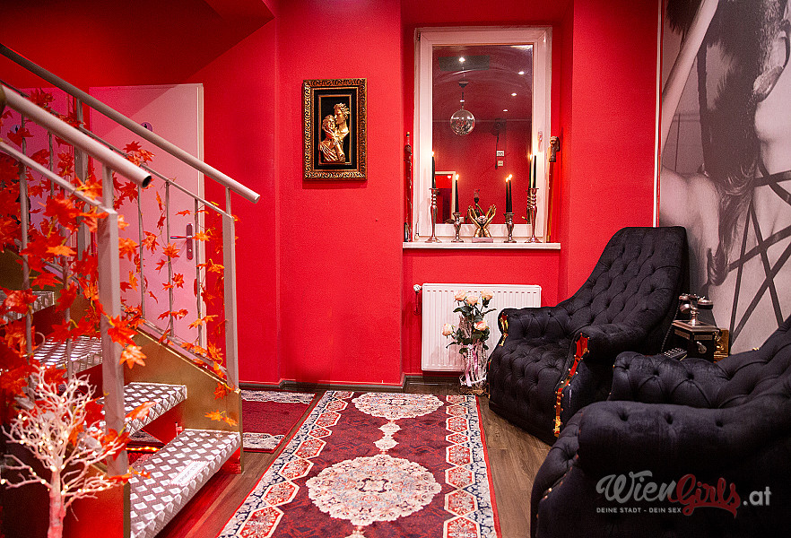 Amore Lounge Image