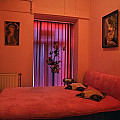 SEX STUDIO ROXANNA 11 Image, Slider
