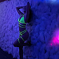 Laufhaus Dreamcats Image, Slider