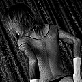 Ines Image, Slider