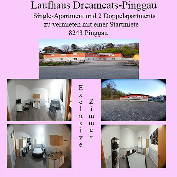   Laufhaus Dreamcats Card Image