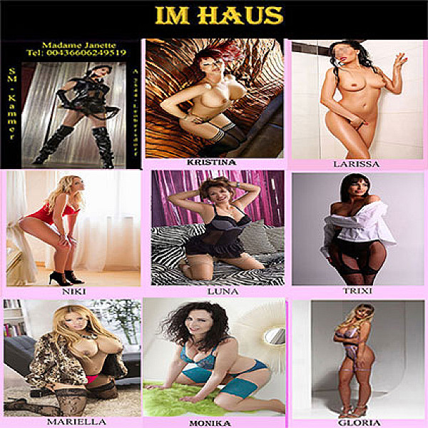 Laufhaus Dreamcats Card Image