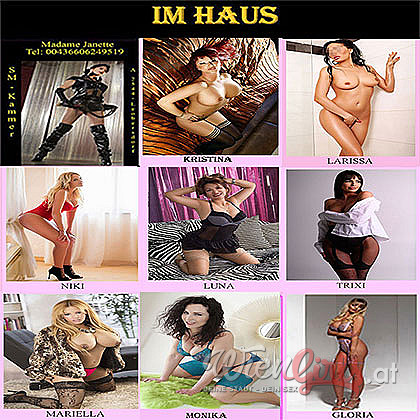 Laufhaus Dreamcats Image