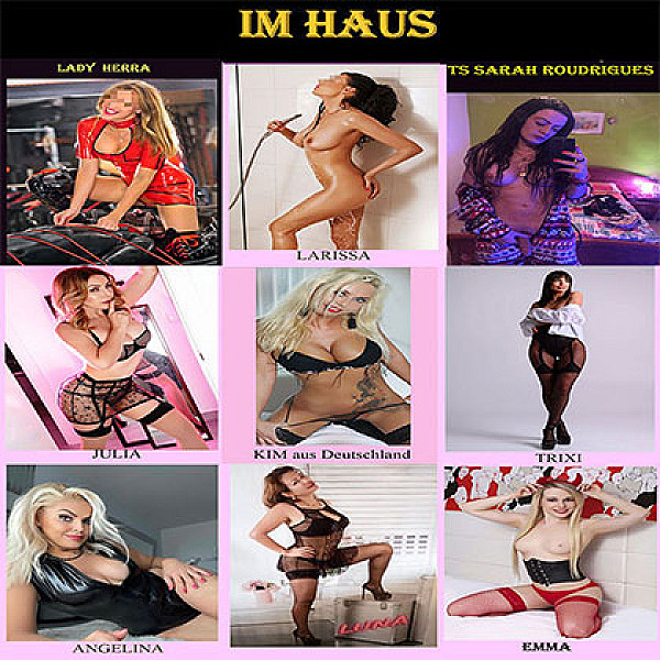 Laufhaus Dreamcats Card Image