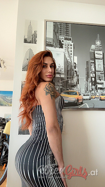 Trans Katie Delux Image