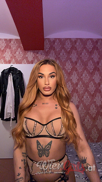 Trans Katie Delux Image