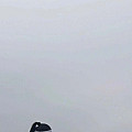 Yuna Image, Slider