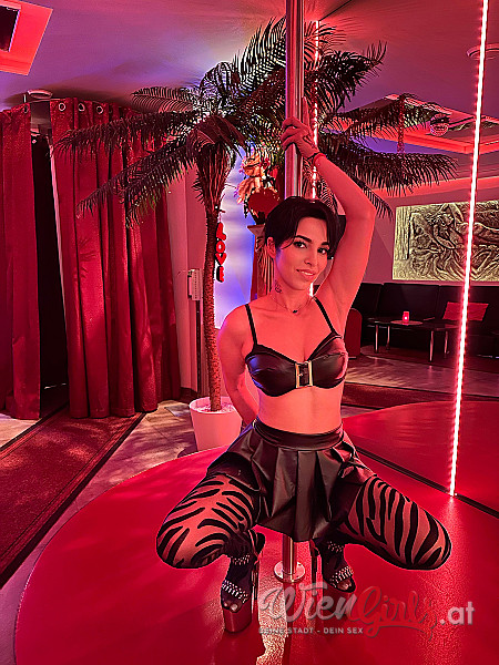 ESCORTGIRLS-WIEN  Image