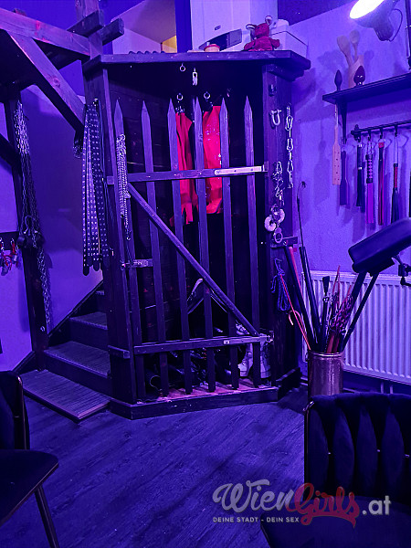 Lady Konstance Image