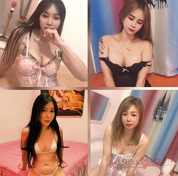 Studio Asia77  Image