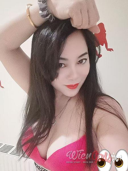 Asia Studio 31A  Image