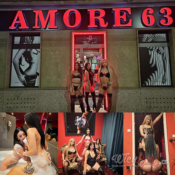 AMORE 63 Image