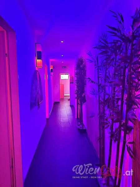 MoMo- Massage Studio Image