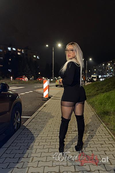 Alexia - private Assistentin Image