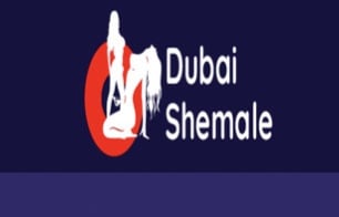 Dubai Shemale Partner Image